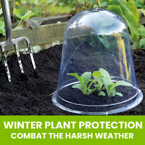 Winter Plant Protection
