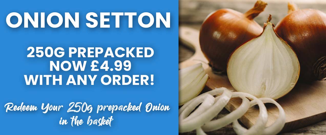 Onion Setton