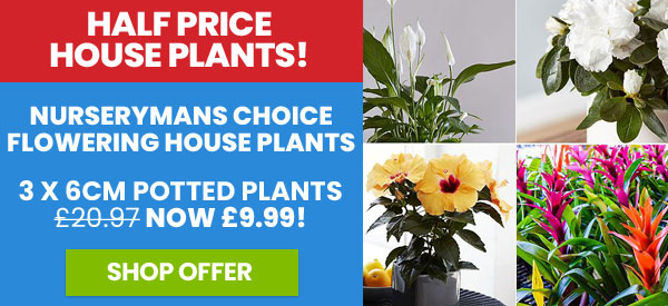 Half Price Half Plants