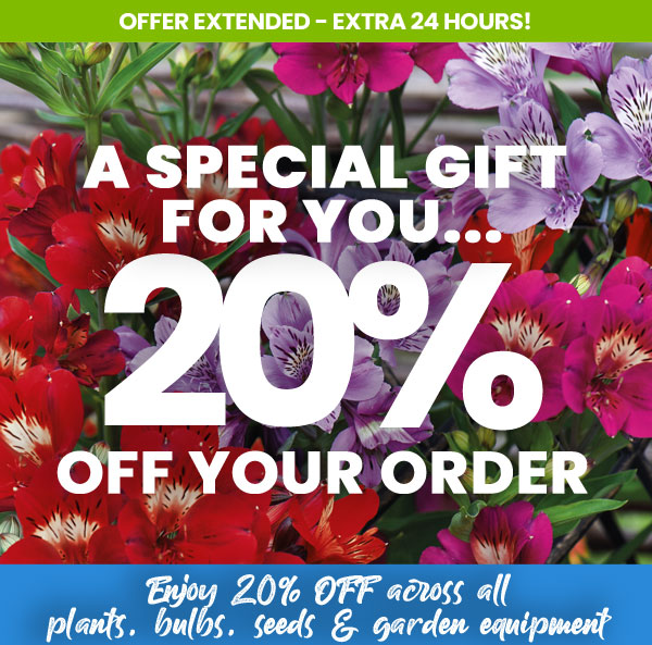 20% Off Your Order!