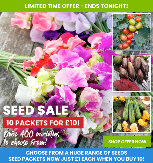 Seed Sale