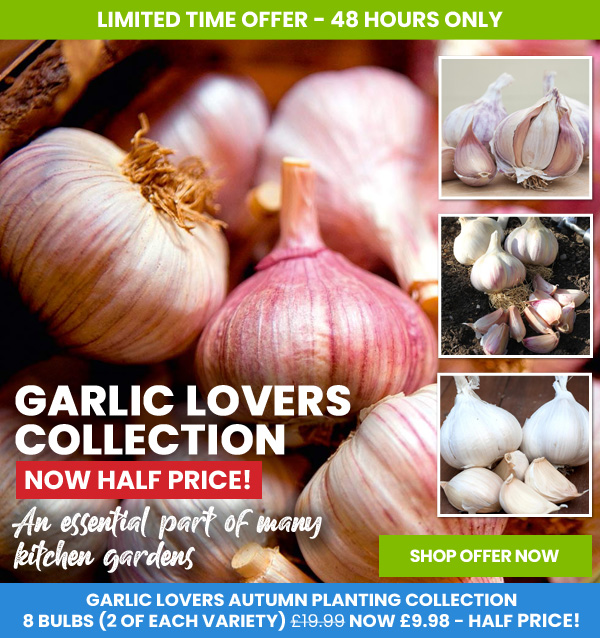 Garlic Lovers Collection