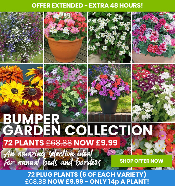 Bumper Garden Collection