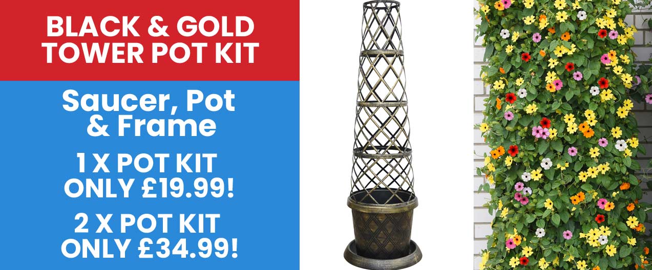 Tower Pot Kit Black & Gold