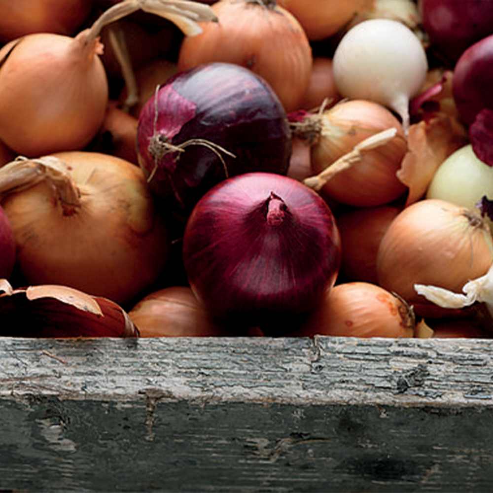 Onion Mixed Red White & Brown