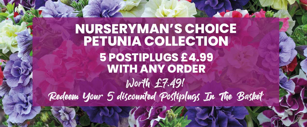 Nurseryman's Choice Petunia Collection