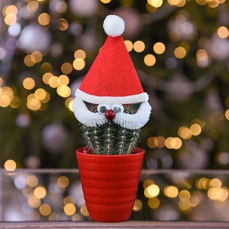 Cactus with Santa Face and Hat