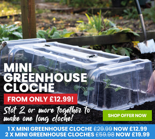 Mini Greenhouse Cloche