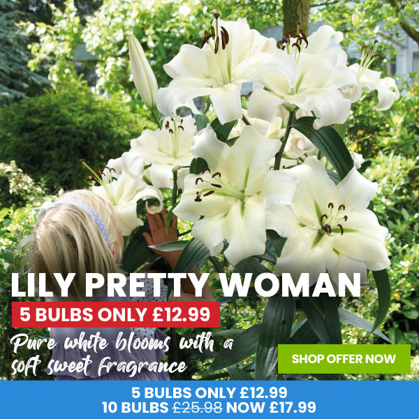 Lily Pretty Woman