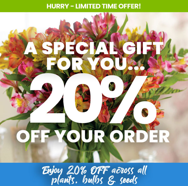 20% Off Your Order!