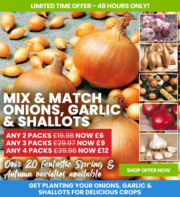 Mix & Match Onions, Garlic & Shallots